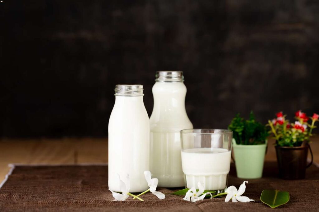Fermentowane produkty mleczne